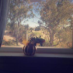 Meet your Posher, Len